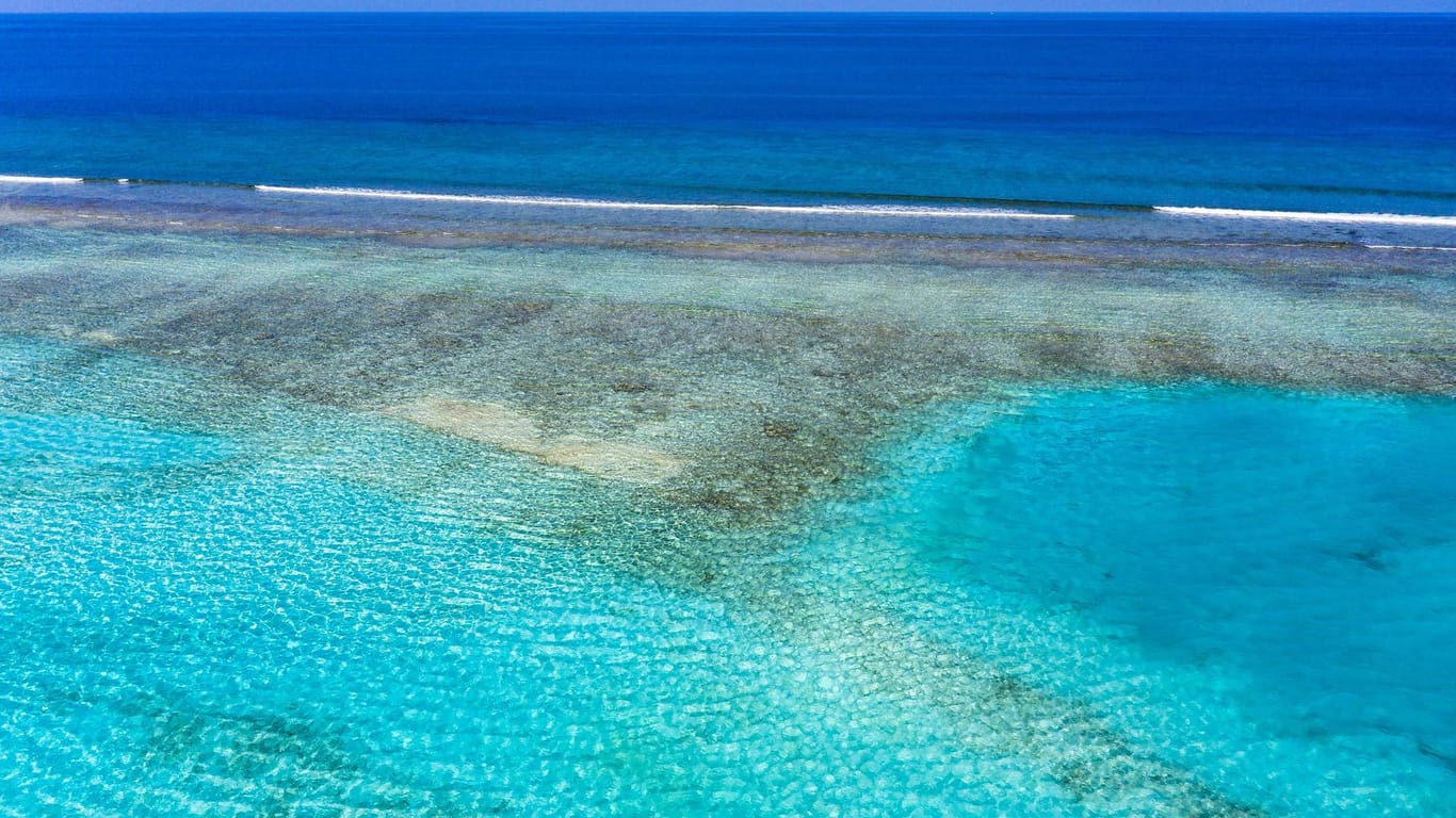 Ein Riff der Malediven: Die Inselgruppe ist ein beliebtes Urlaubsziel.