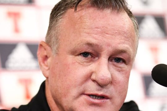 Wird Trainer des englischen Zweitligisten Stoke City: Michael O'Neill.