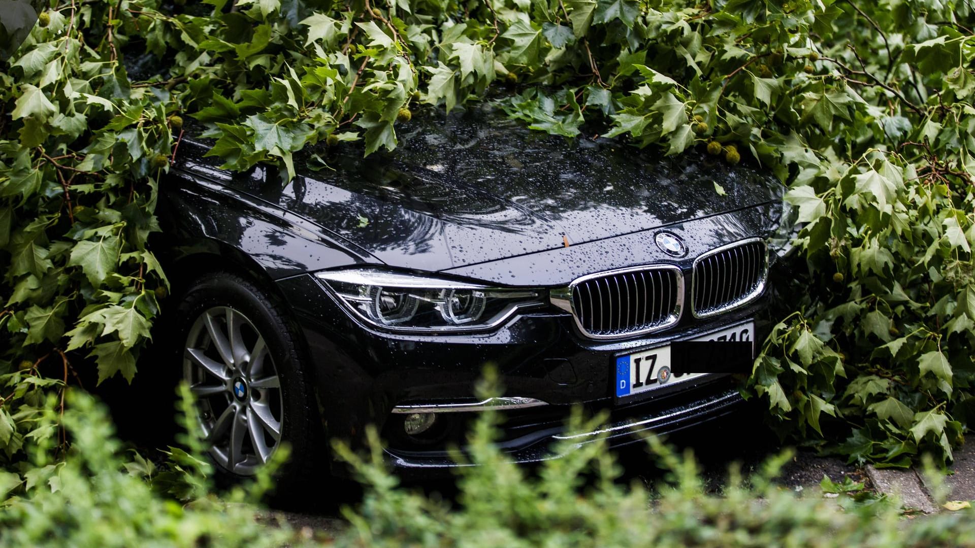 Umgestürzter Baum hat ein Autos unter sich begraben: Wer Schäden am eigenen Auto versichern will, braucht eine Kaskoversicherung – aber auch da gibt es Unterschiede.