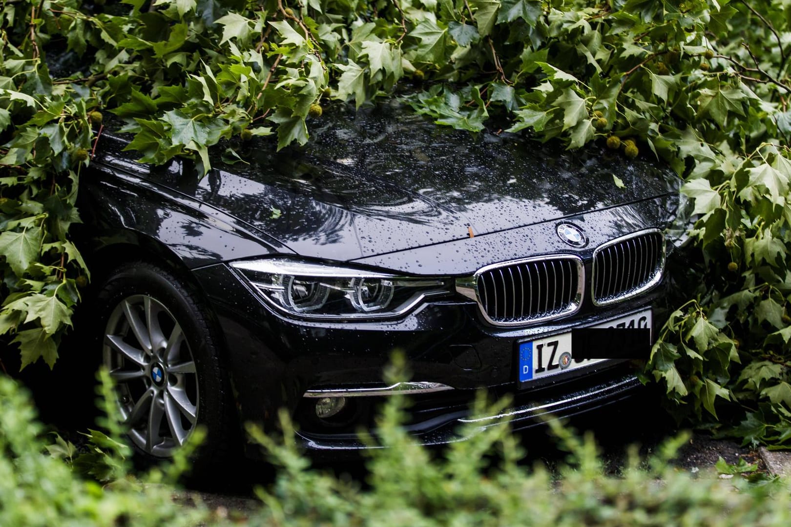 Umgestürzter Baum hat ein Autos unter sich begraben: Wer Schäden am eigenen Auto versichern will, braucht eine Kaskoversicherung – aber auch da gibt es Unterschiede.