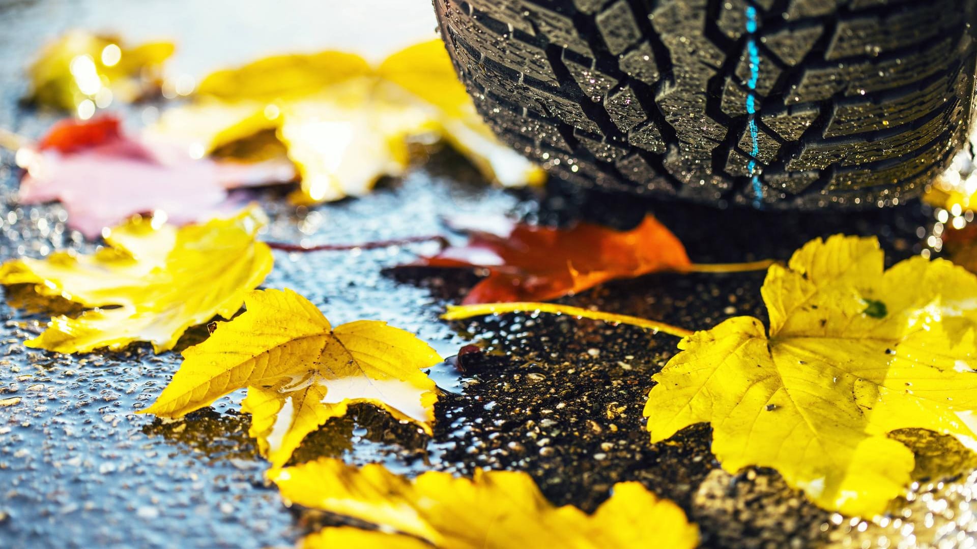 Winterreifen mit Herbstlaub: Fahrern, die im Winter mit Sommerreifen unterwegs sind, riskieren ihren Versicherungsschutz.