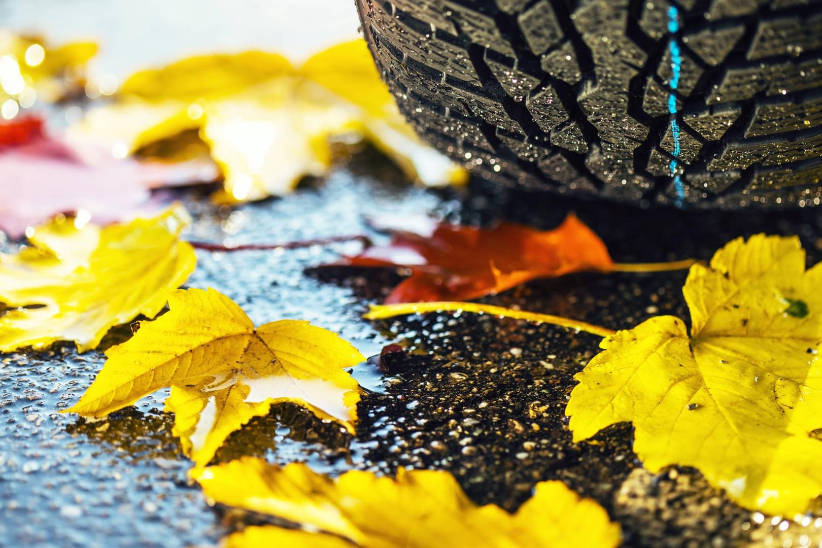 Winterreifen mit Herbstlaub: Fahrern, die im Winter mit Sommerreifen unterwegs sind, riskieren ihren Versicherungsschutz.