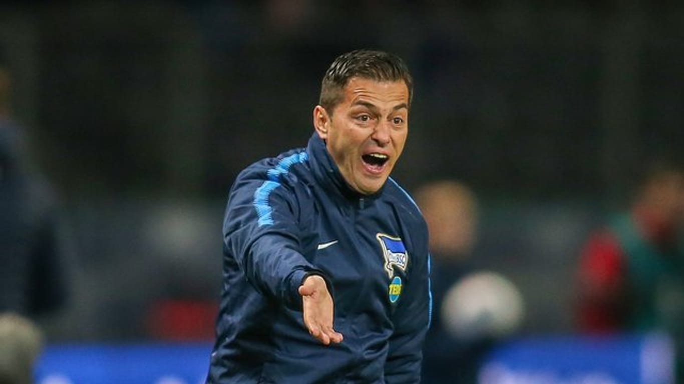 Kassierte mit Hertha BSC drei Niederlagen nacheinander: Cheftrainer Ante Covic schreit vom Spielfeldrand aus.