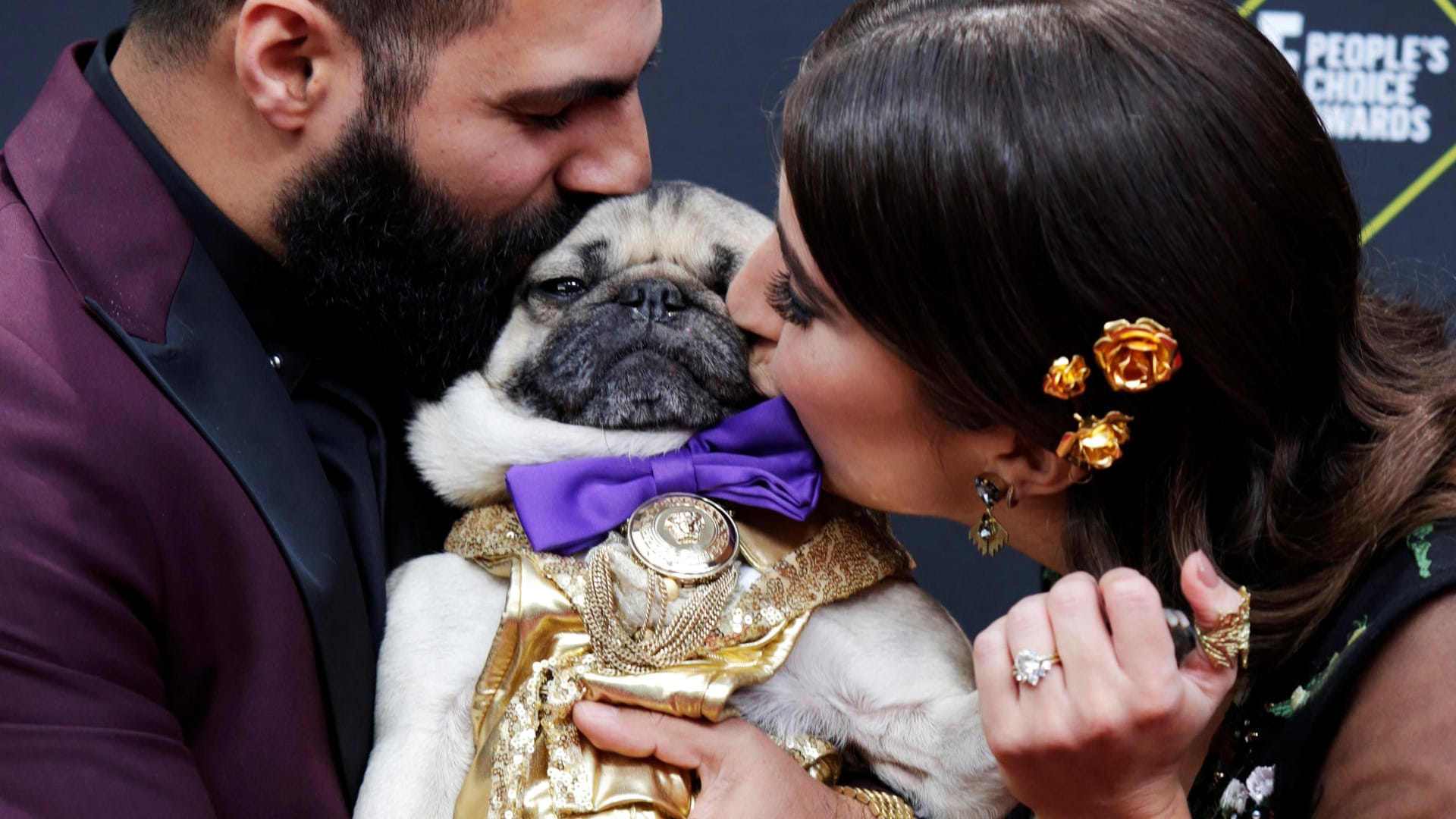 Instagram-Promi "Doug the Pug": Der Mops stiehlt den Stars bei den "People's Choice Awards" die Show. Auf Instagram hat er 3,8 Millionen Follower.