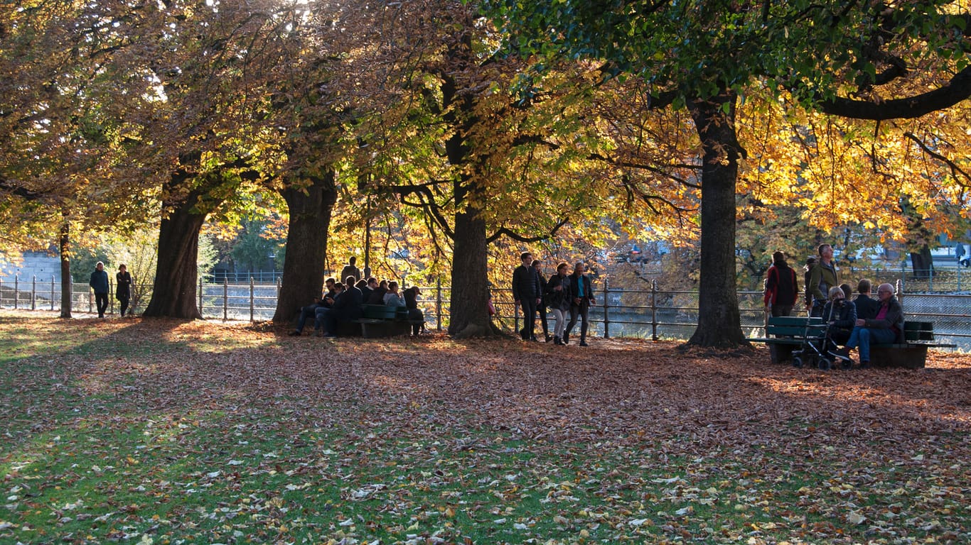 Herbststimmung an der Isar in den Maximiliansanlagen: Der Maximilianspark bei München-Haidhausen ist sehr beliebt zum Spazieren.