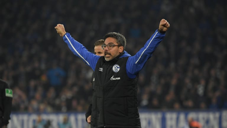 Vater des jüngsten Schalke-Erfolgs: Coach David Wagner.