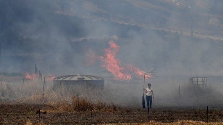Buschbrände halten die Bundesstaaten New South Wales und Queensland seit Oktober in Atem, beide Regionen haben den Notstand ausgerufen.