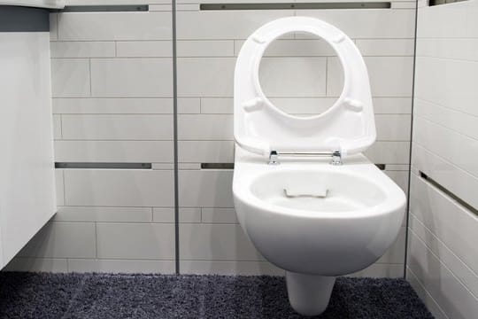 Kein Mülleimer: Speisereste, Fett und Wattepads gehören nicht in die Toilette.