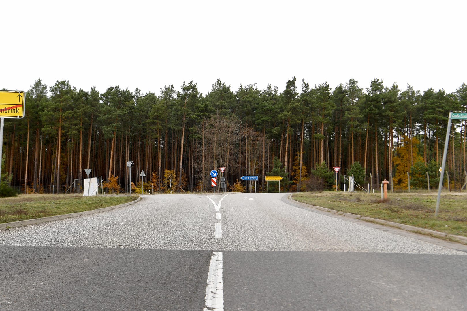Blick auf ein Waldstück in der Gemeinde Grünheide: Hier will der Elektroautohersteller Tesla die neue Fabrik für Elektroautos bauen. Blick auf ein Waldstück in der Gemeinde Grünheide: Hier will der Elektroautohersteller Tesla die neue Fabrik für Elektroautos bauen.