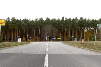 Blick auf ein Waldstück in der Gemeinde Grünheide: Hier will der Elektroautohersteller Tesla die neue Fabrik für Elektroautos bauen.