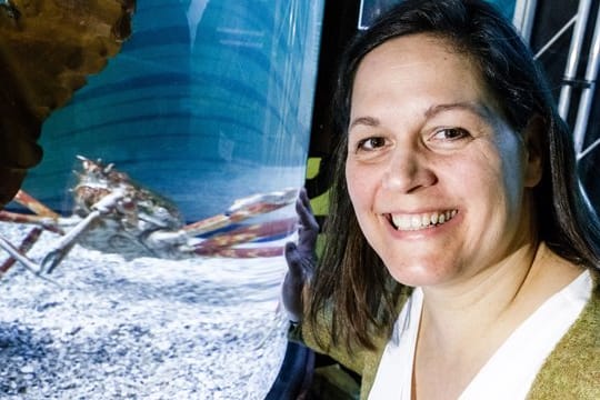 Sandra Völker hat jetzt eine eigene Schwimmschule.