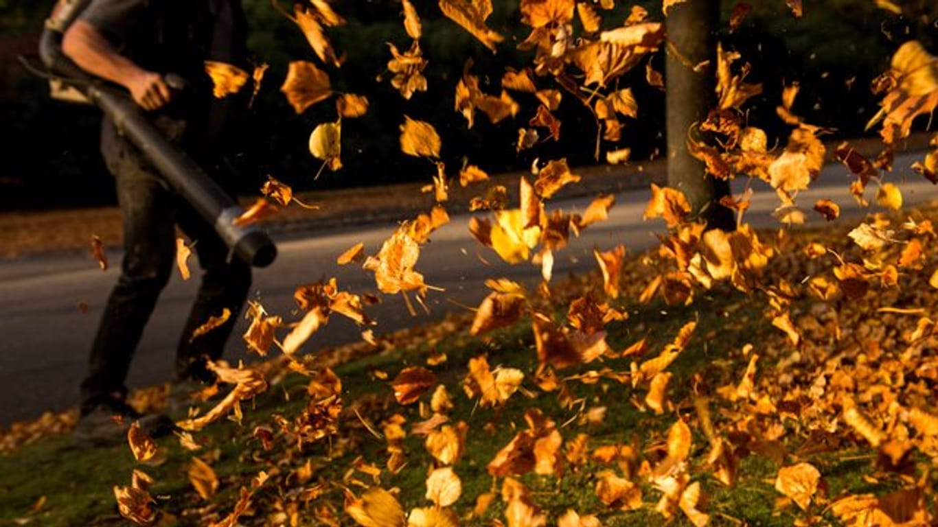 Ein Mann entfernt auf einem Hamburger Friedhof mit einem Laubbläser herbstlich verfärbte Blätter.