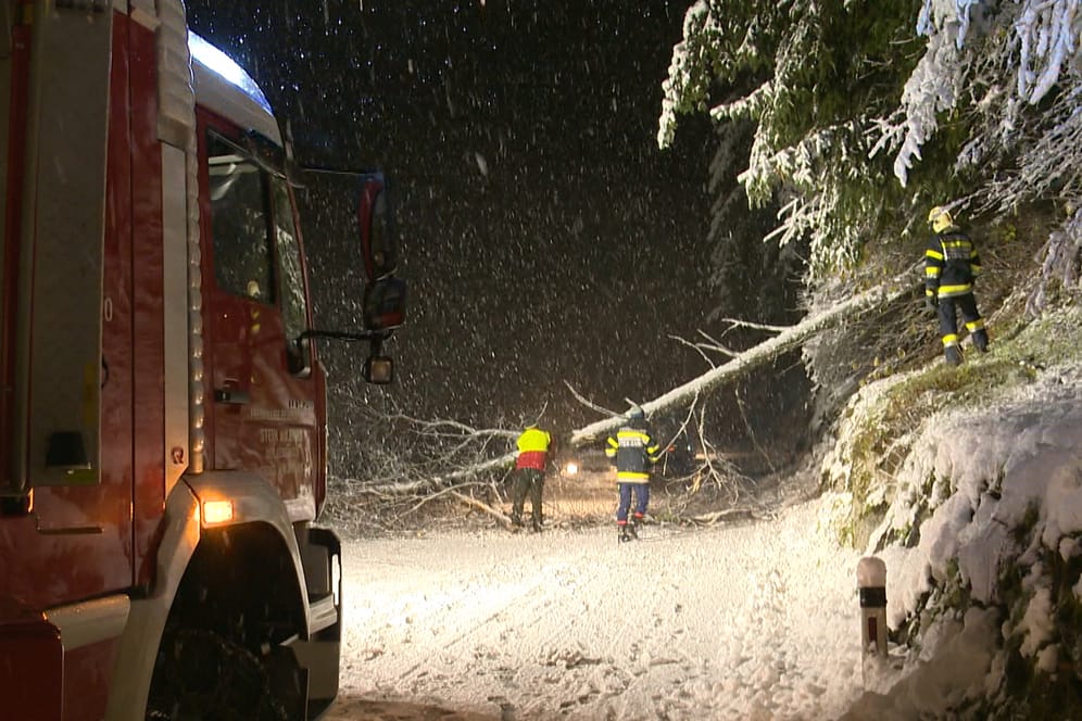 Ein umgeknickter Baum in der Steiermark: Einige Straßen mussten wegen Gefahr durch umstürzende Bäume gesperrt werden.