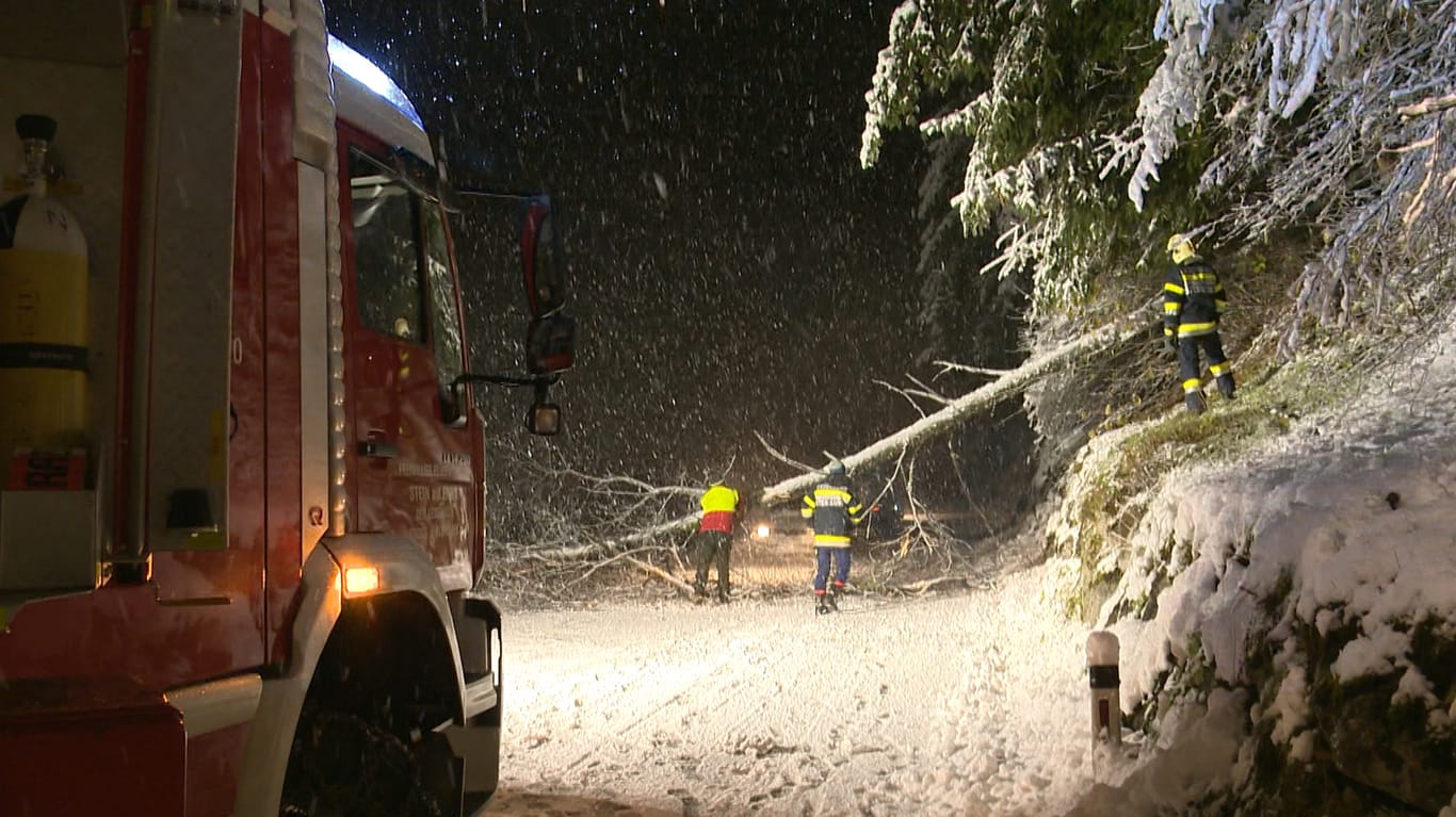 Ein umgeknickter Baum in der Steiermark: Einige Straßen mussten wegen Gefahr durch umstürzende Bäume gesperrt werden.