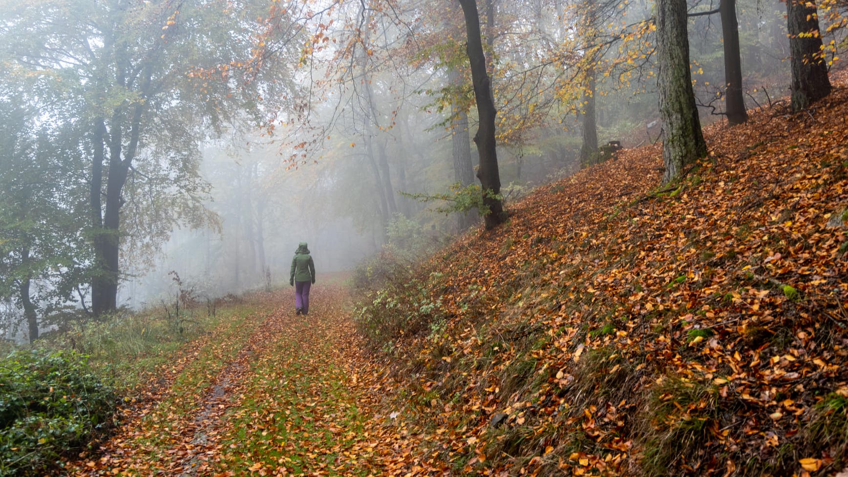 Regenwetter im Taunus: Das Wochenende wird fast überall nass.