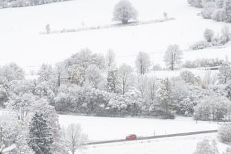 Eine Schneelandschaft im Bayerischen Wald ist zu sehen