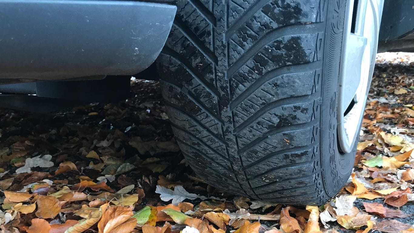 Autotreifen auf feuchtem Herbstlaub: Die EU hat sich auf eine genauere Kennzeichnung für Reifen geeinigt.