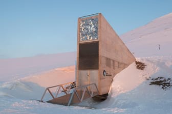 Das Foto zeigt die Pflanzensamenbank Svalbard Global Seed Vault: Die Microsoft-Tochter GitHub will Code in einer Kohlemine in Spitzbergen lagern (Symbolbild).