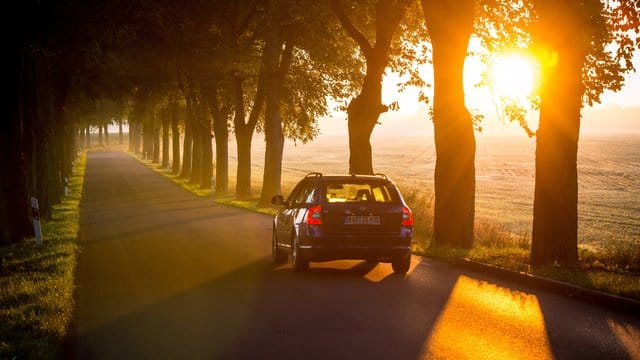 Wenn die Sonne tief steht und blendet, kann das für Autofahrer schnell gefährlich werden. Wenn die Sonne tief steht und blendet, kann das für Autofahrer schnell gefährlich werden.