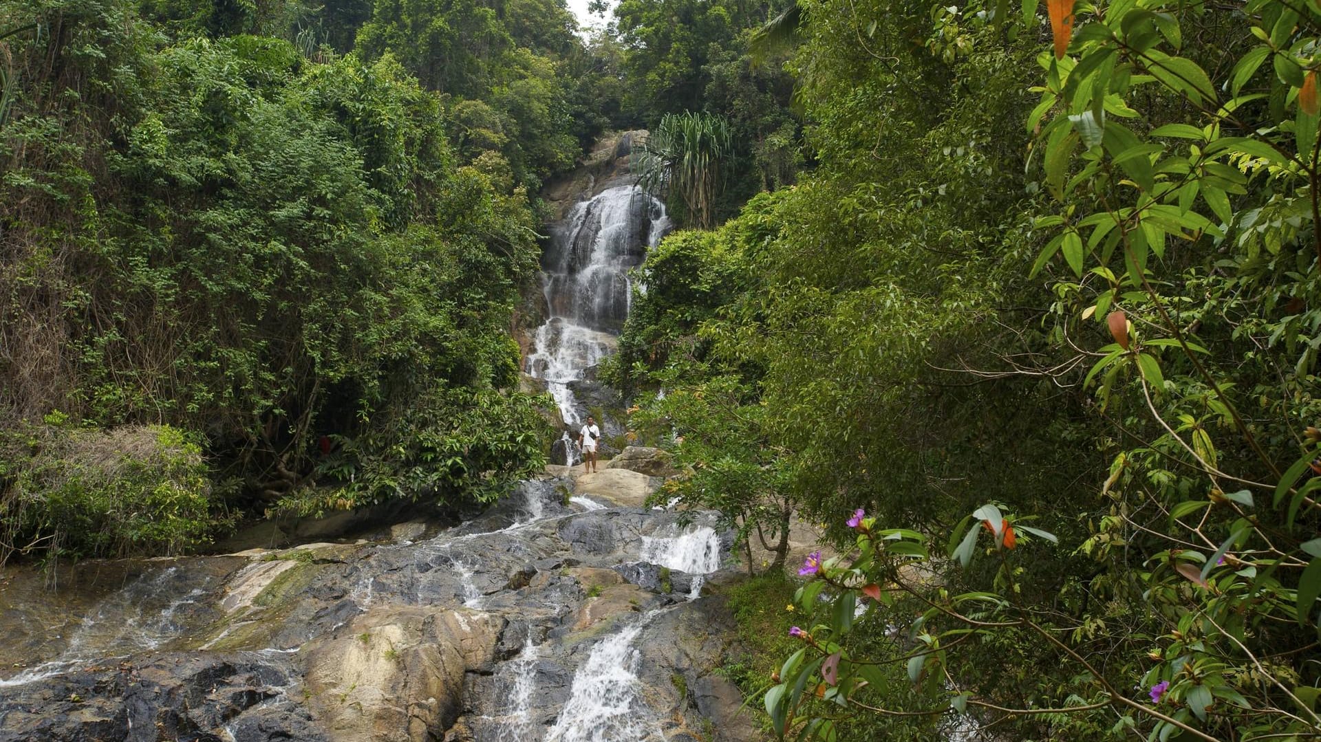 Ein Wasserfall auf Ko Samui: Ein 33-jähriger Tourist ist bei einem Unfall gestorben. (Archivbild)