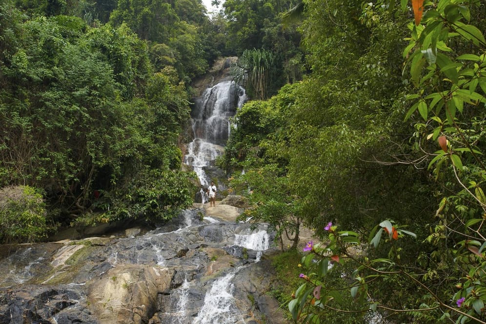 Ein Wasserfall auf Ko Samui: Ein 33-jähriger Tourist ist bei einem Unfall gestorben. (Archivbild)