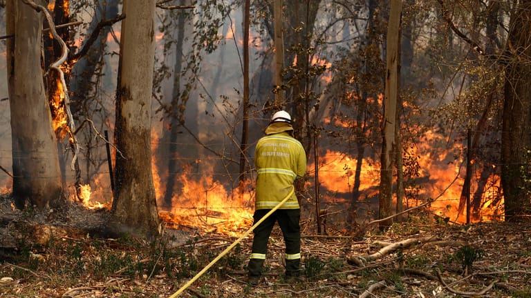 Ein Mitarbeiter der Nationalpark-Schutzkräfte bekämpft Flammen: Die Buschbrände wurden wohl an etlichen Stellen durch Brandstiftung hervorgerufen.