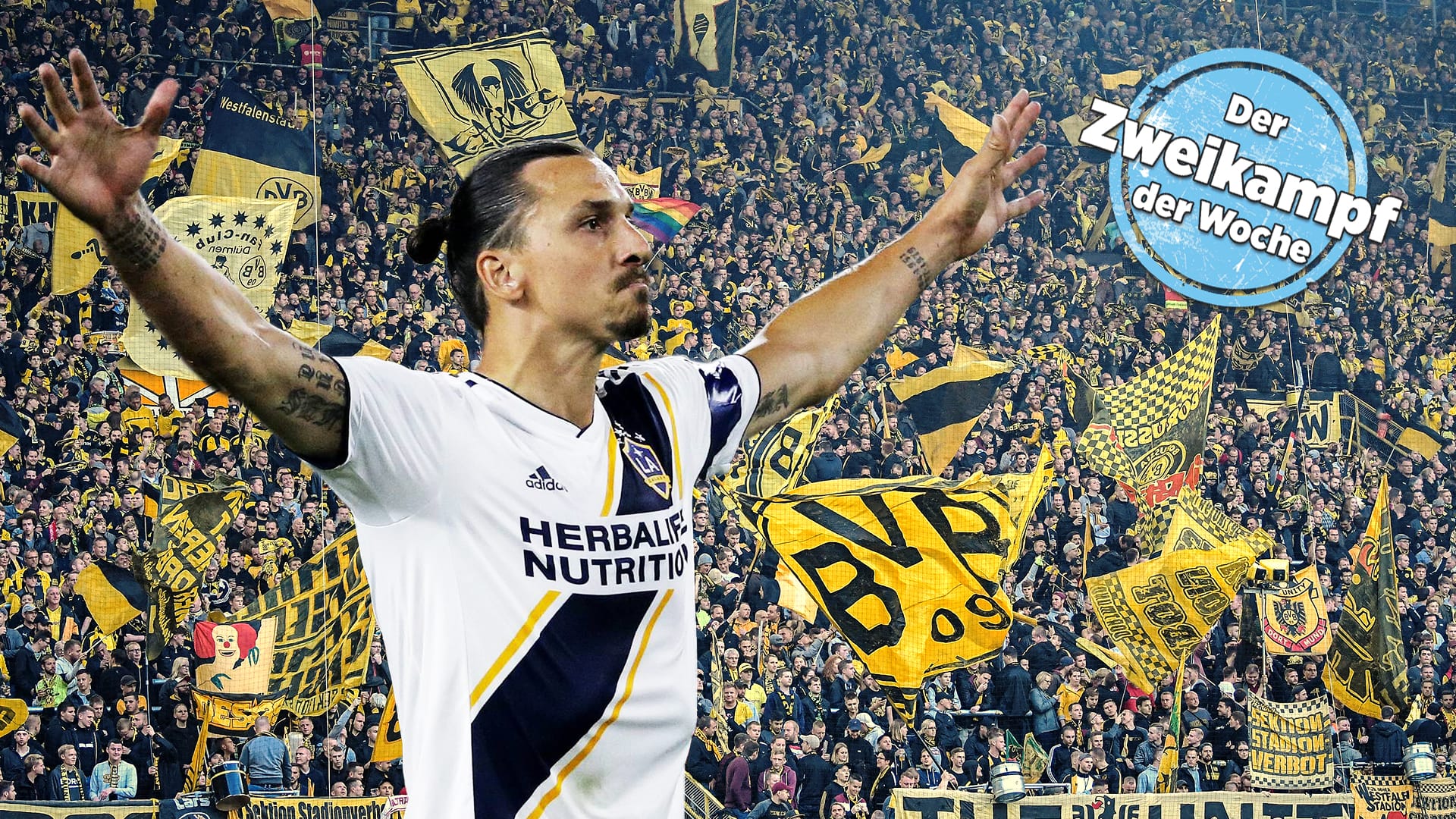 Nur eine Traumvorstellung? Zlatan Ibrahimovic jubelt vor den Dortmunder Fans.