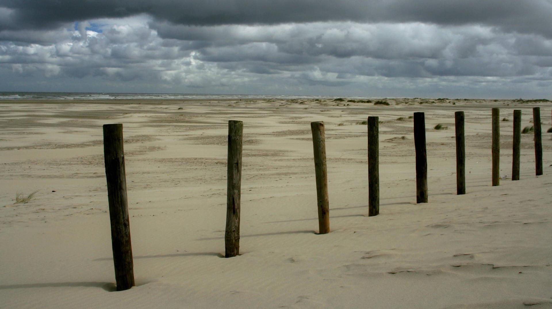 Strand auf Terschelling: Bei dem Toten handelte es sich um den Kapitän eines Schiffs, das bei der Sturmflut 1953 sank. (Symbolbild)