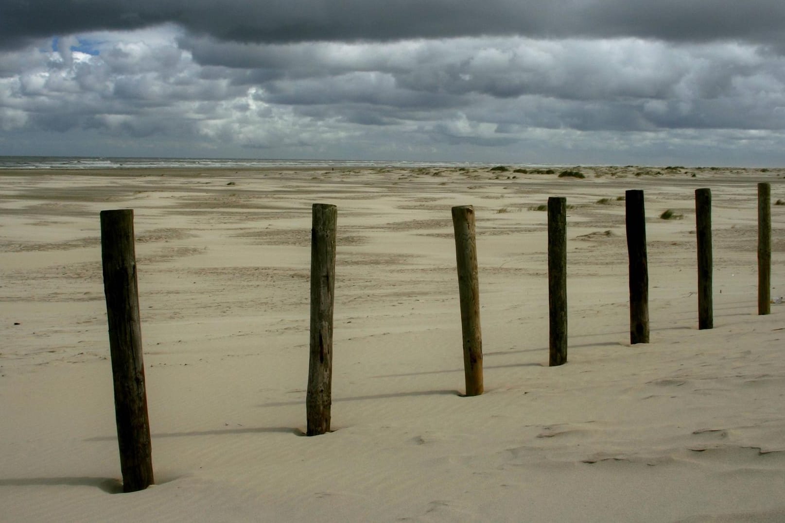 Strand auf Terschelling: Bei dem Toten handelte es sich um den Kapitän eines Schiffs, das bei der Sturmflut 1953 sank. (Symbolbild)