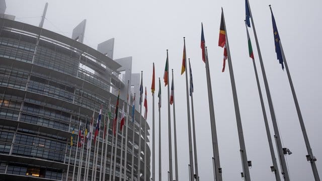 Die Flaggen der Mitgliedstaaten vor dem EU-Parlament in Straßburg. Die Flaggen der Mitgliedstaaten vor dem EU-Parlament in Straßburg.