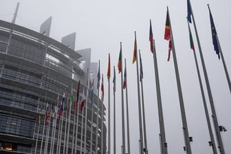 Die Flaggen der Mitgliedstaaten vor dem EU-Parlament in Straßburg.
