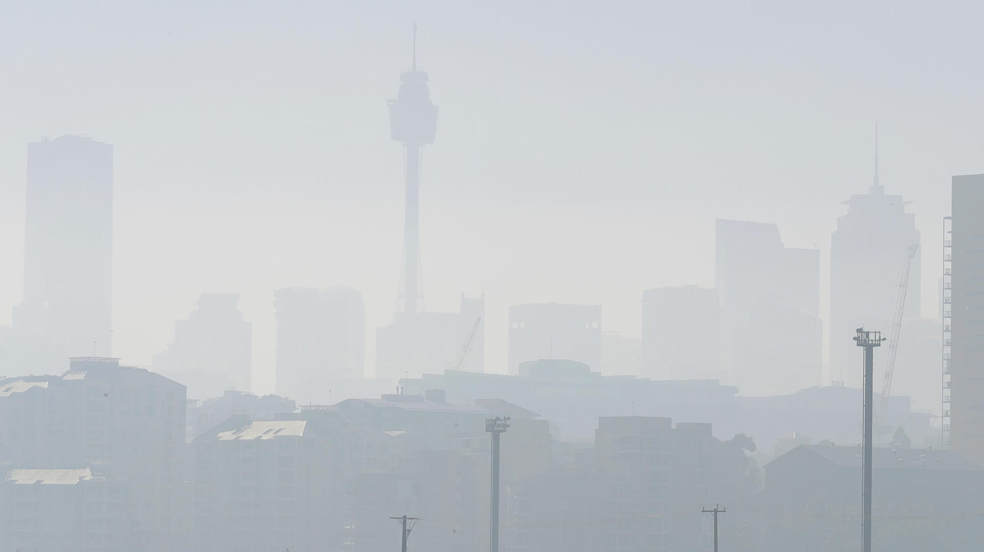 Seit Wochen lodern die Waldbrände in Australien.