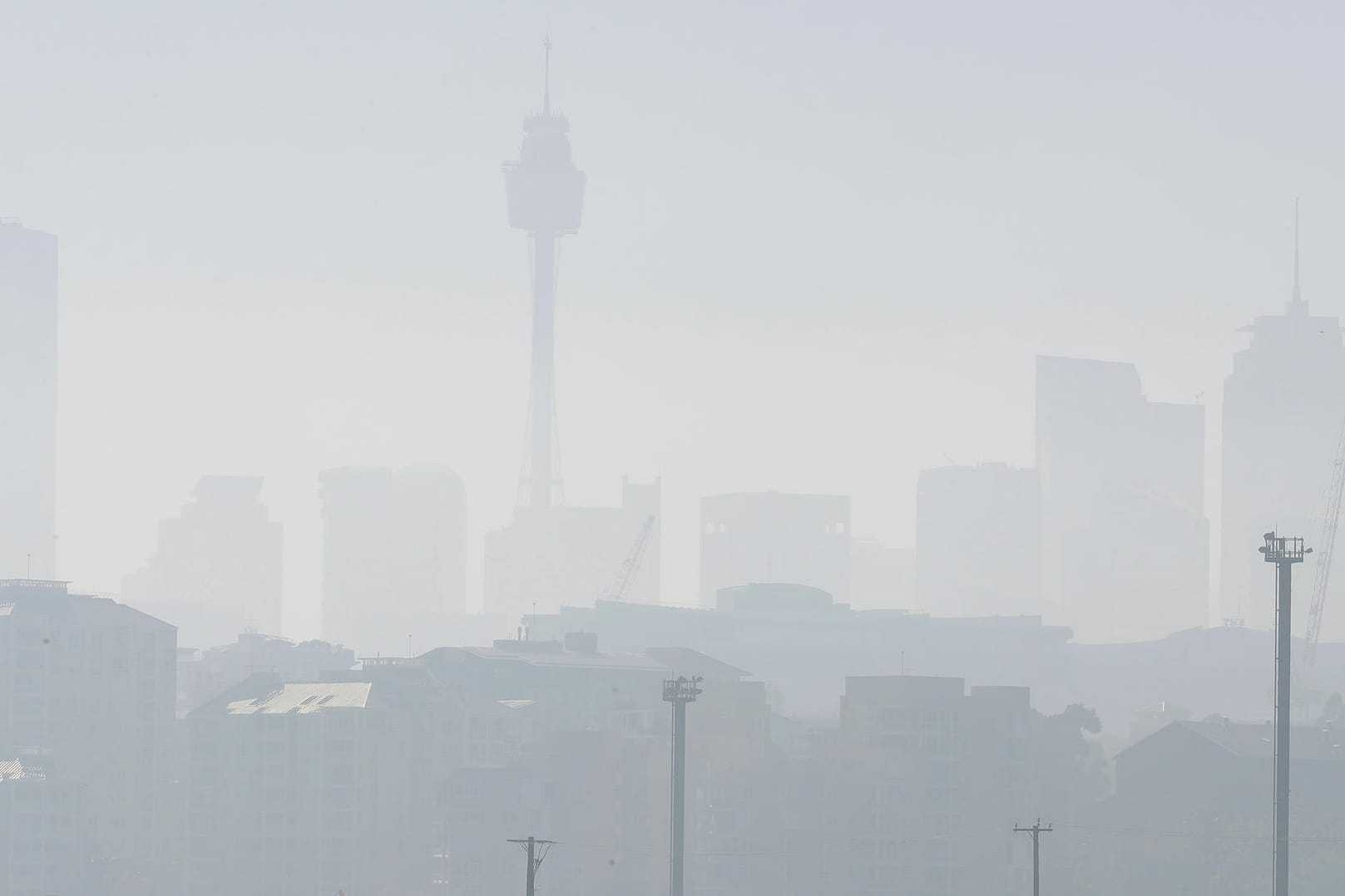 Seit Wochen lodern die Waldbrände in Australien.
