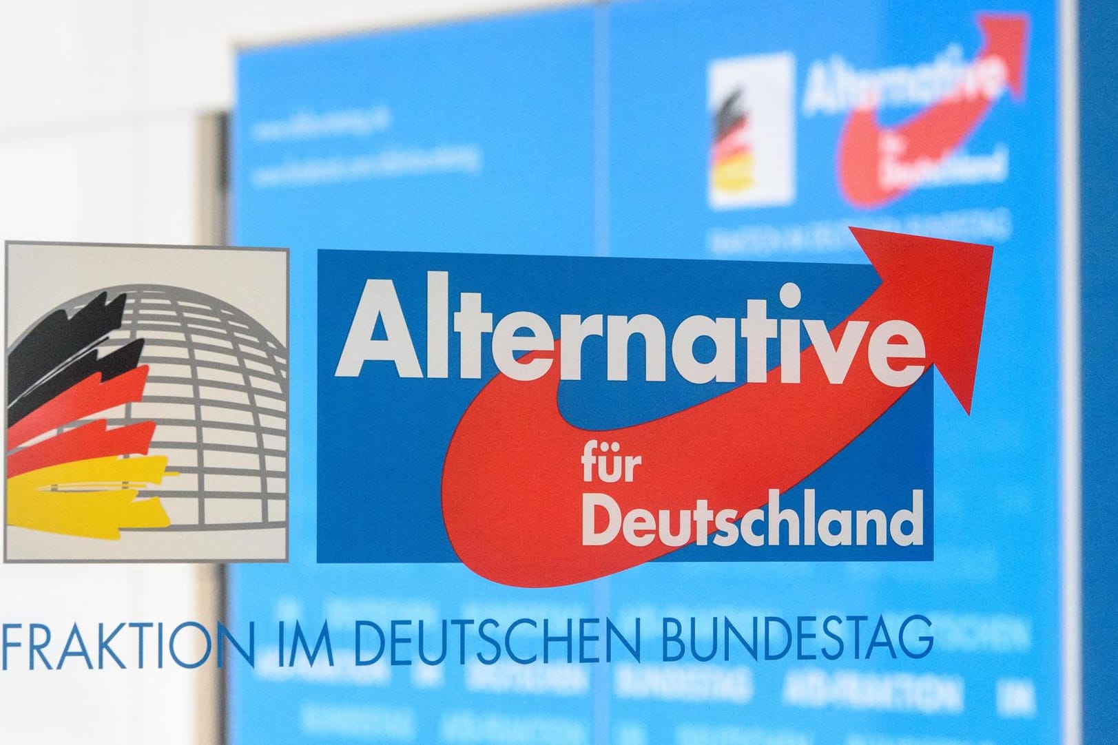 Logo der AfD-Bundestagsfraktion: Die Bundestagsabgeordneten Frank Pasemann und Waldemar Herdt leiten die Delegation (Symbolbild).