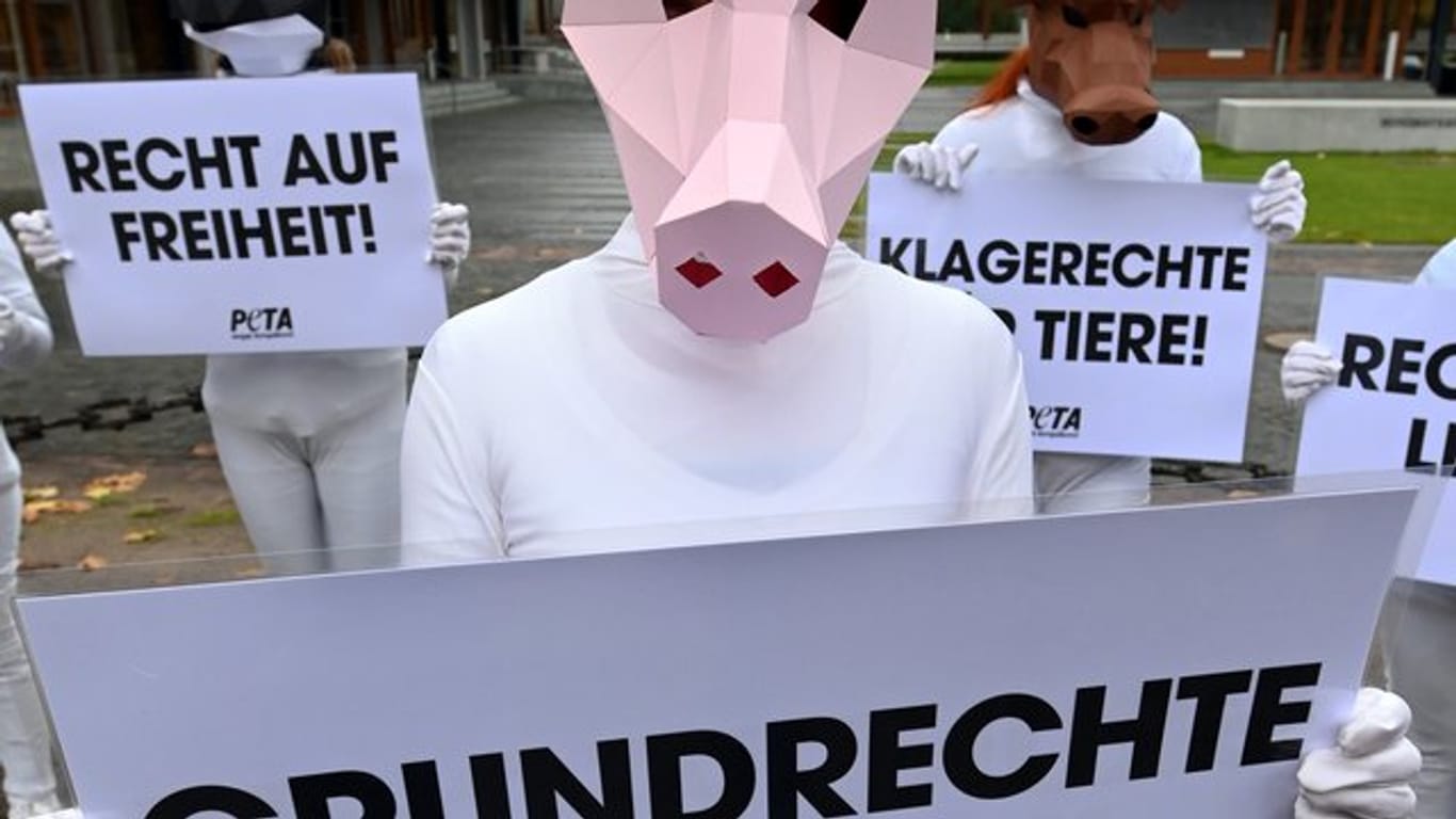 Mit Tiermasken verkleidete Aktivisten: Peta protestiert vor dem Bundesverfassungsgericht.