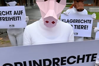 Mit Tiermasken verkleidete Aktivisten: Peta protestiert vor dem Bundesverfassungsgericht.