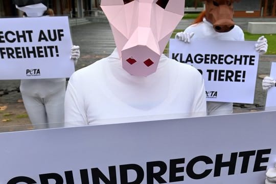 Mit Tiermasken verkleidete Aktivisten: Peta protestiert vor dem Bundesverfassungsgericht.