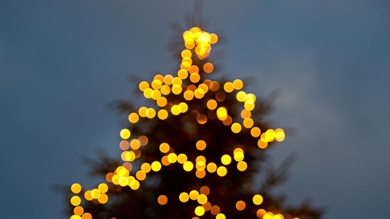 Ein mit einer Lichterkette beleuchteter Baum: Drei von vier Lichterketten enthalten Schadstoffe in erheblichen Konzentrationen.
