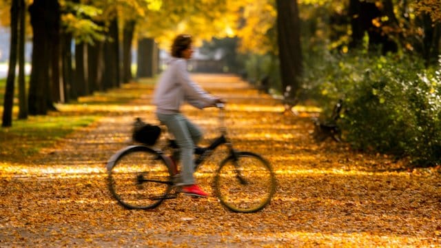 Damit Gelenke keinen Rost ansetzen, müssen Betroffene aktiv werden. Damit Gelenke keinen Rost ansetzen, müssen Betroffene aktiv werden.