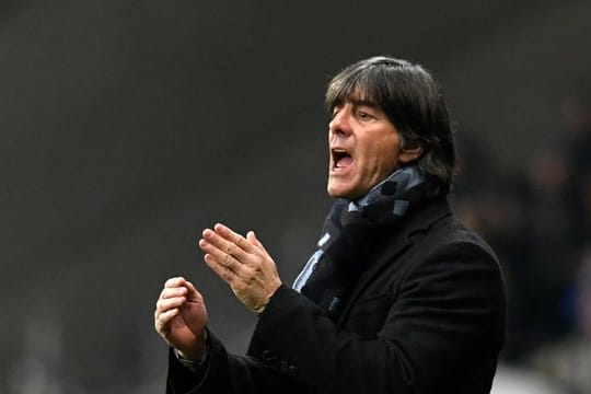 Das Auftreten der Nationalspieler gegen Nordirland hat Bundestrainer Joachim Löw gut gefallen.