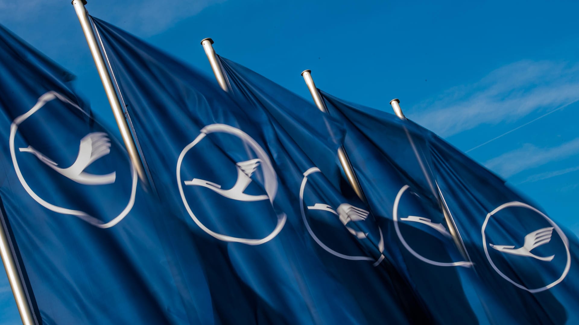 Fahnen mit dem Lufthansa-Logo: In dem Tarifkonflikt geht es unter anderem um Spesen und Zulagen für die Flugbegleiter. Fahnen mit dem Lufthansa-Logo: In dem Tarifkonflikt geht es unter anderem um Spesen und Zulagen für die Flugbegleiter.