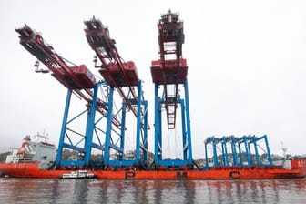 Containerbrücken am Hamburger Hafen