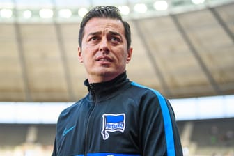 Ante Covic: Der Nachfolger von Pal Dardai kämpft um seinen Job bei Hertha BSC.
