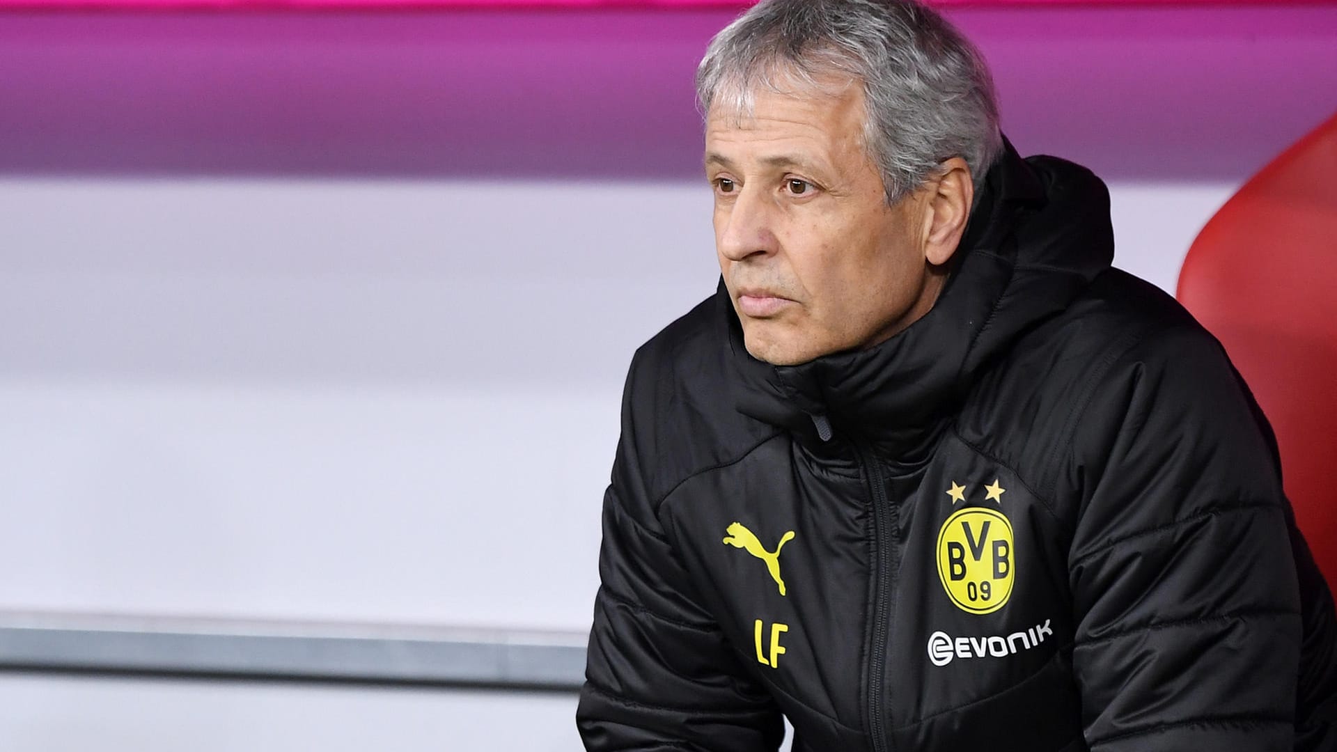 Lucien Favre wirkt verzweifelt: Auf den Schultern des BVB-Coaches lastet viel Druck, Verzweiflung macht sich breit.