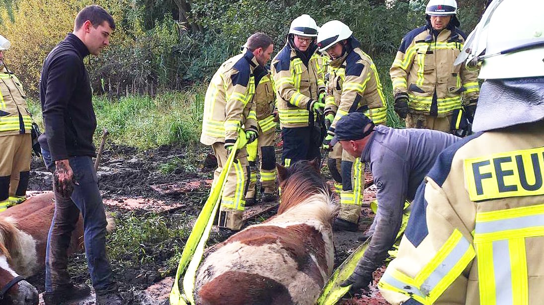 Nordrhein-Westfalen, Rheurdt: Feuerwehrmänner ziehen ein Pferd aus einem Schlammloch.