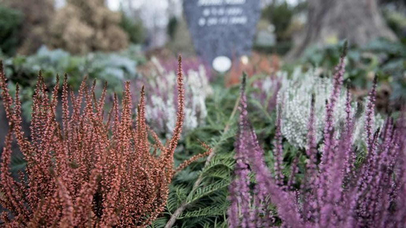 Neben der Dauerbepflanzung wird das Grab meist mit Wechselpflanzen bestückt, etwa mit Heidekraut.