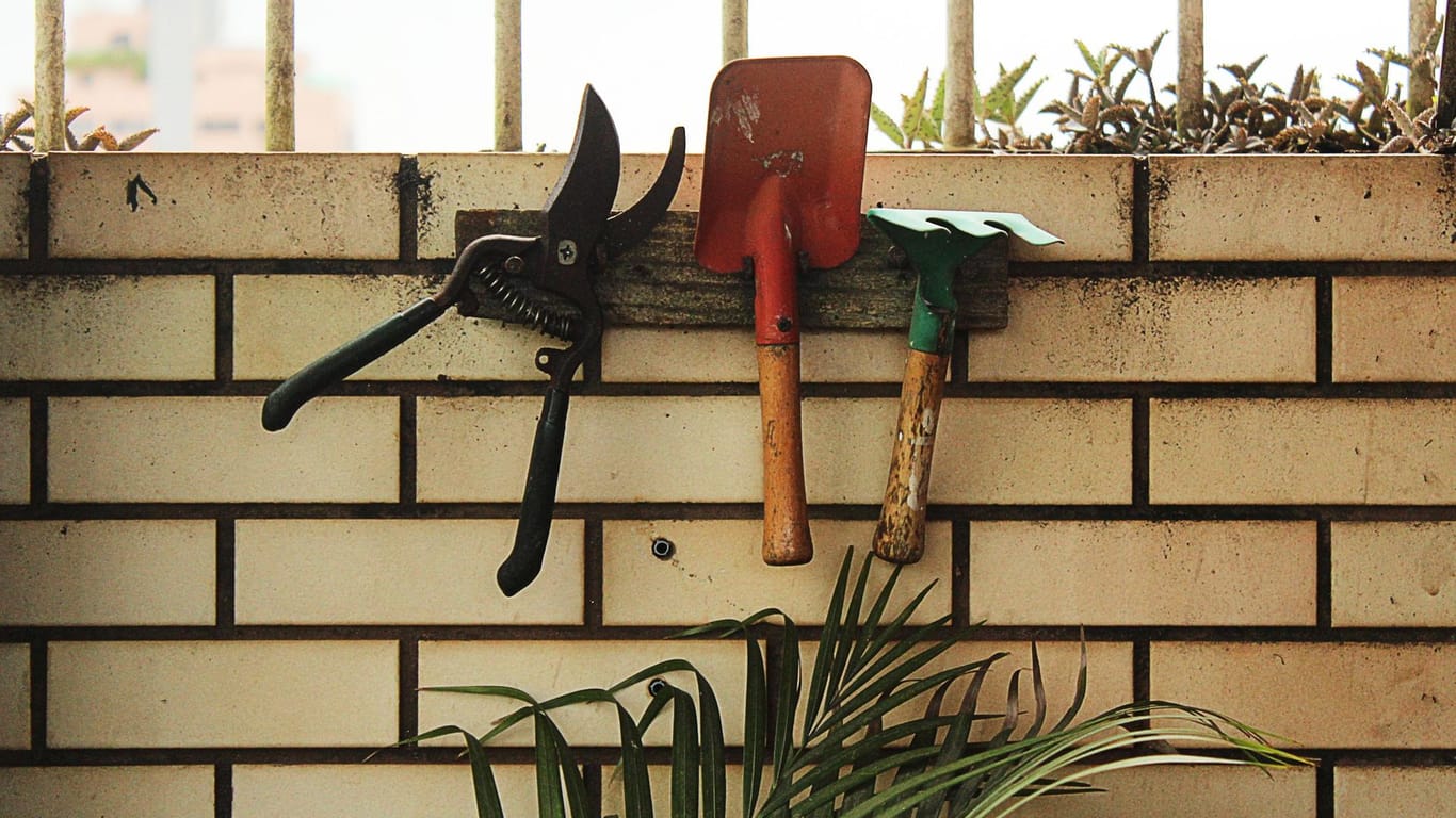 Werkzeug für den Garten: Warum kaufen, wenn man es auch leihen kann?
