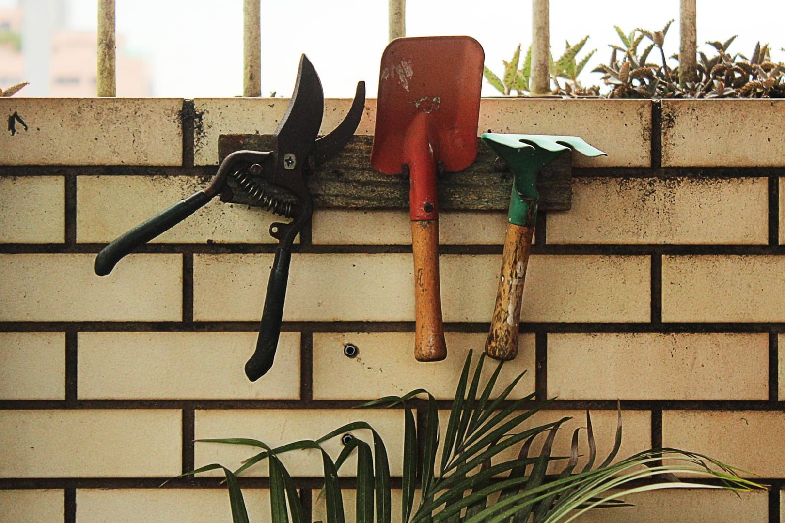 Werkzeug für den Garten: Warum kaufen, wenn man es auch leihen kann?