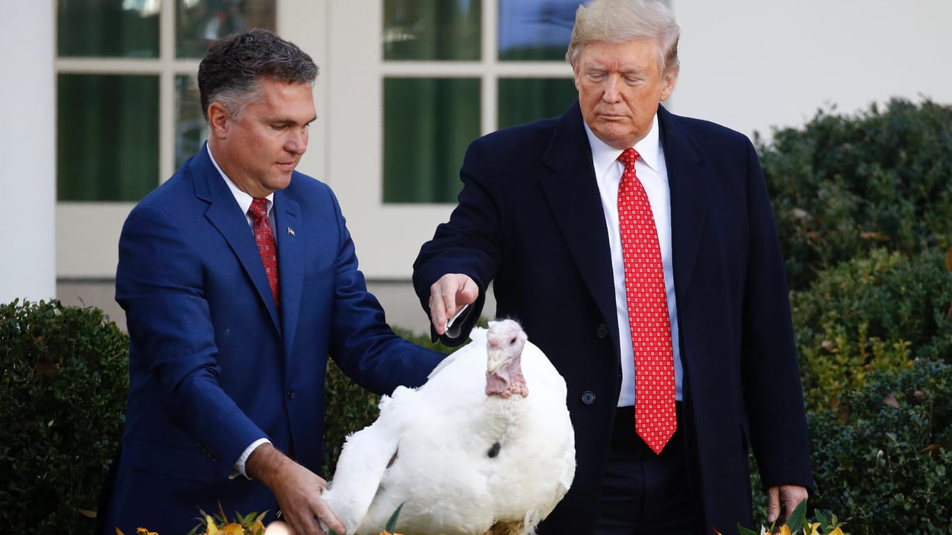Trump begnadigt Truthahn "Butter": Thanksgiving ist die US-Variante des Erntedankfestes.