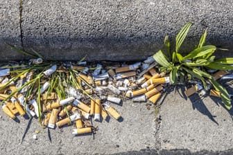 Zigarettenkippen am Bordstein: Die Filter der Zigaretten sind ein großes Problem für die Umwelt.
